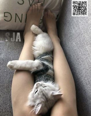 羞羞视频官网下载_BD韩语神马在线观看